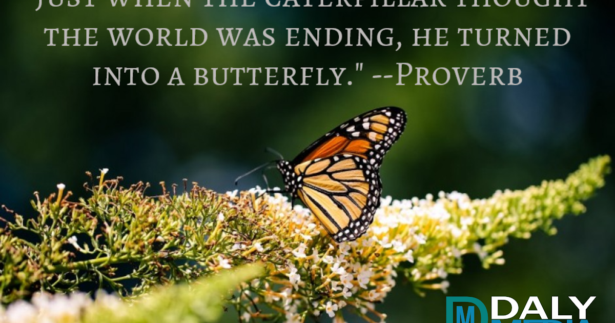 Motivational Quotes In One Word - Motivational Quotes