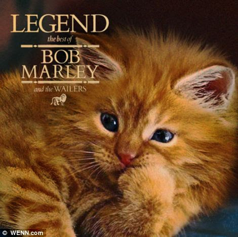 Classic album covers given a makeover using pictures of Classic album covers given a makeover using pictures of