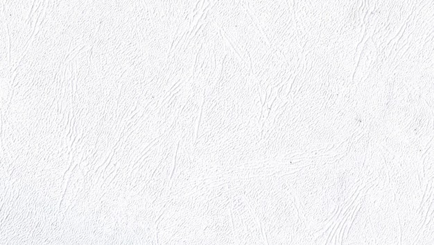 Background Estetik Putih Polos canvasbeaver