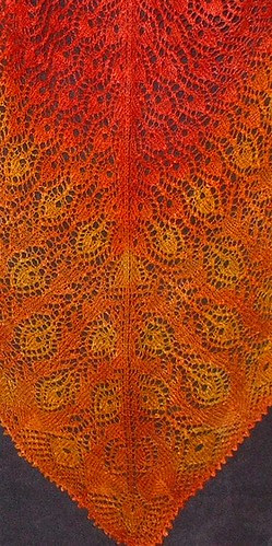 flaming peacock cropped