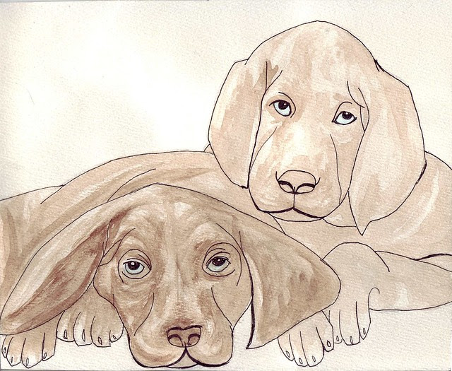 Drawing Dogs
