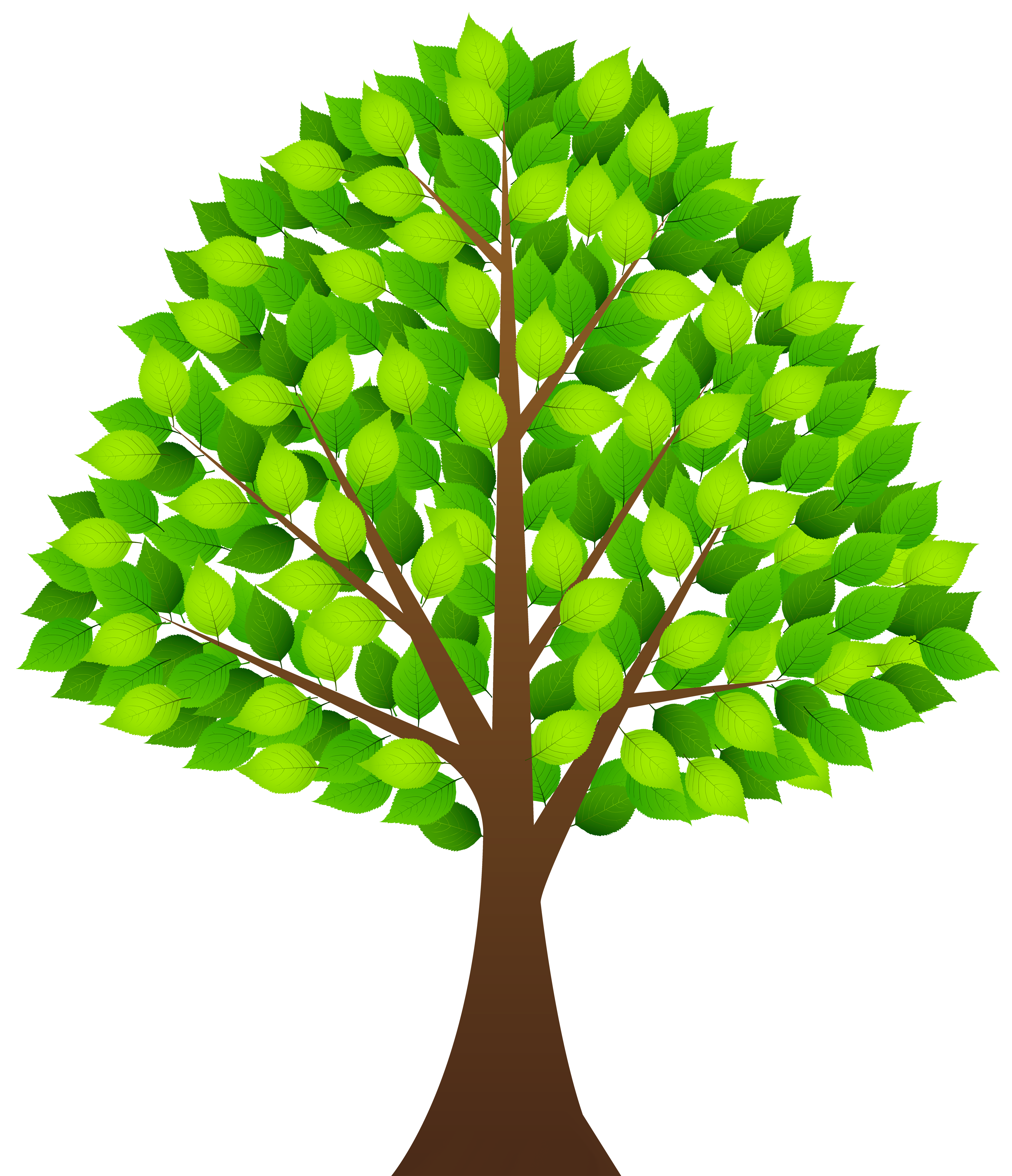Transparent Tree Background Png Transparent Family Tree Clipart