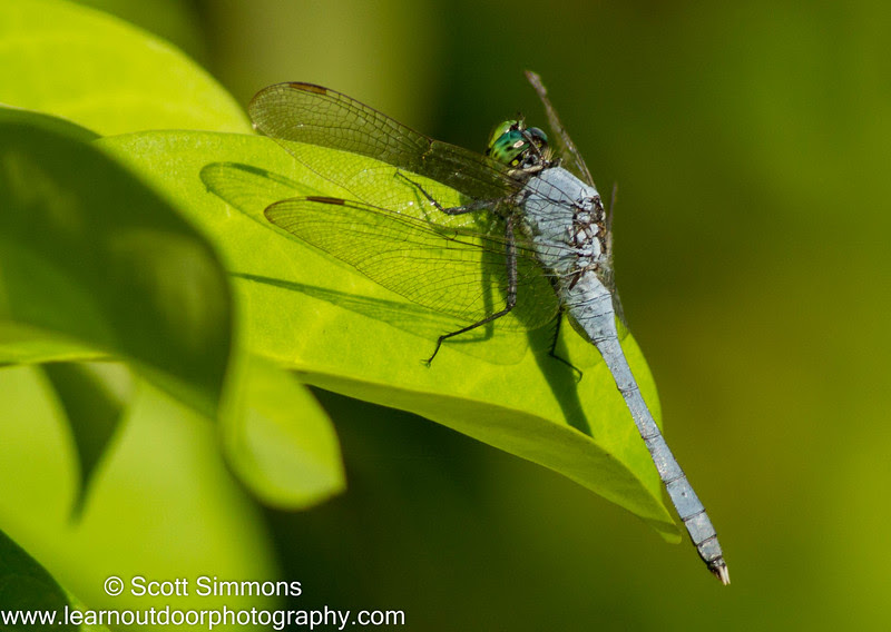 Photo & Video Sharing by SmugMug Photo & Video Sharing by SmugMug
