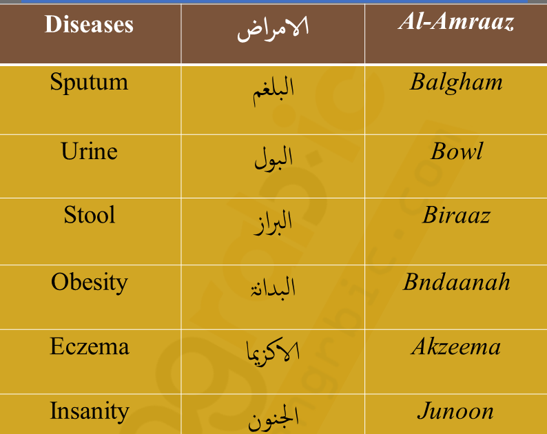 Question Words With Urdu Meaning - QEUST
