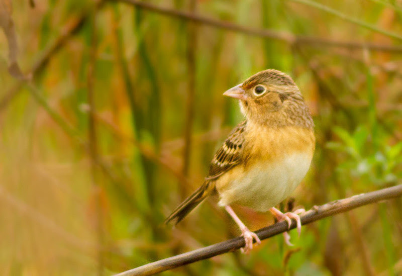 Photo & Video Sharing by SmugMug Photo & Video Sharing by SmugMug