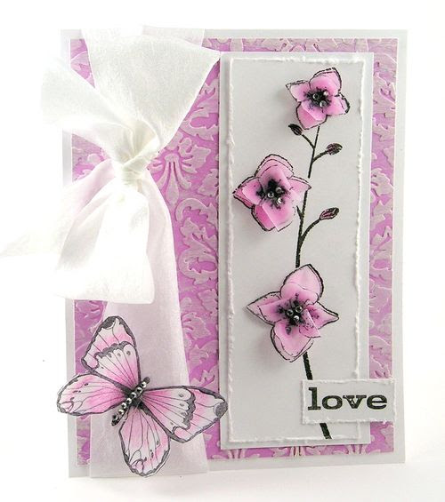 Orchid4 Orchid4