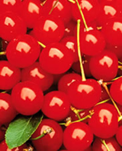 Cherries Cherries