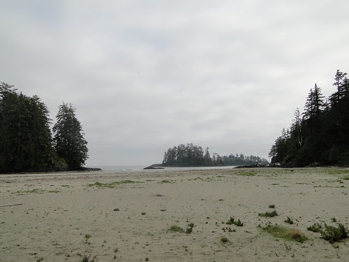 DSC01494