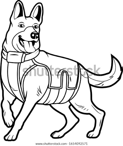 Dibujos De Animales Blanco Y Negro : Blanco Negro Dibujos De Lineas De
