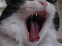 Say ahhh