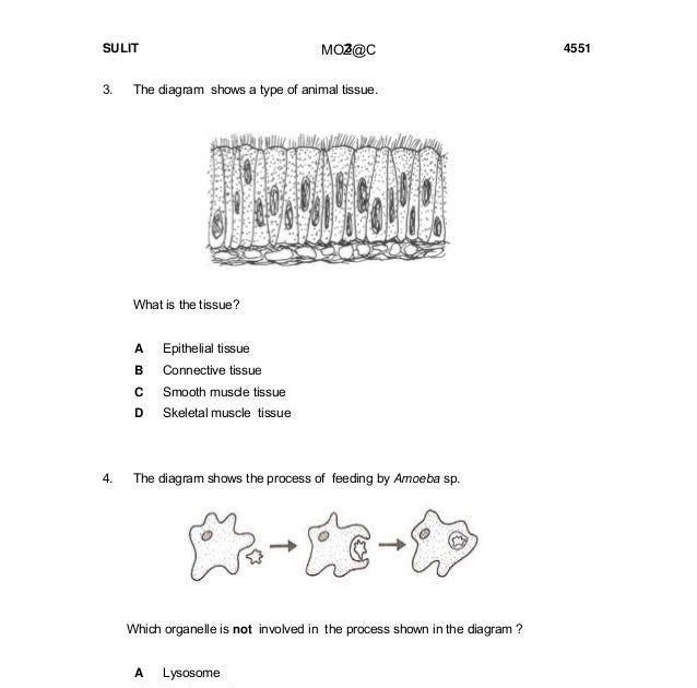 Soalan Akhir Tahun Biologi Tingkatan 4  irstenca