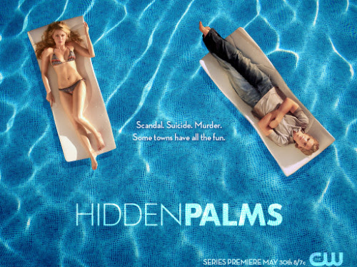 Immediately obsessed with Hidden Palms on Netflix.