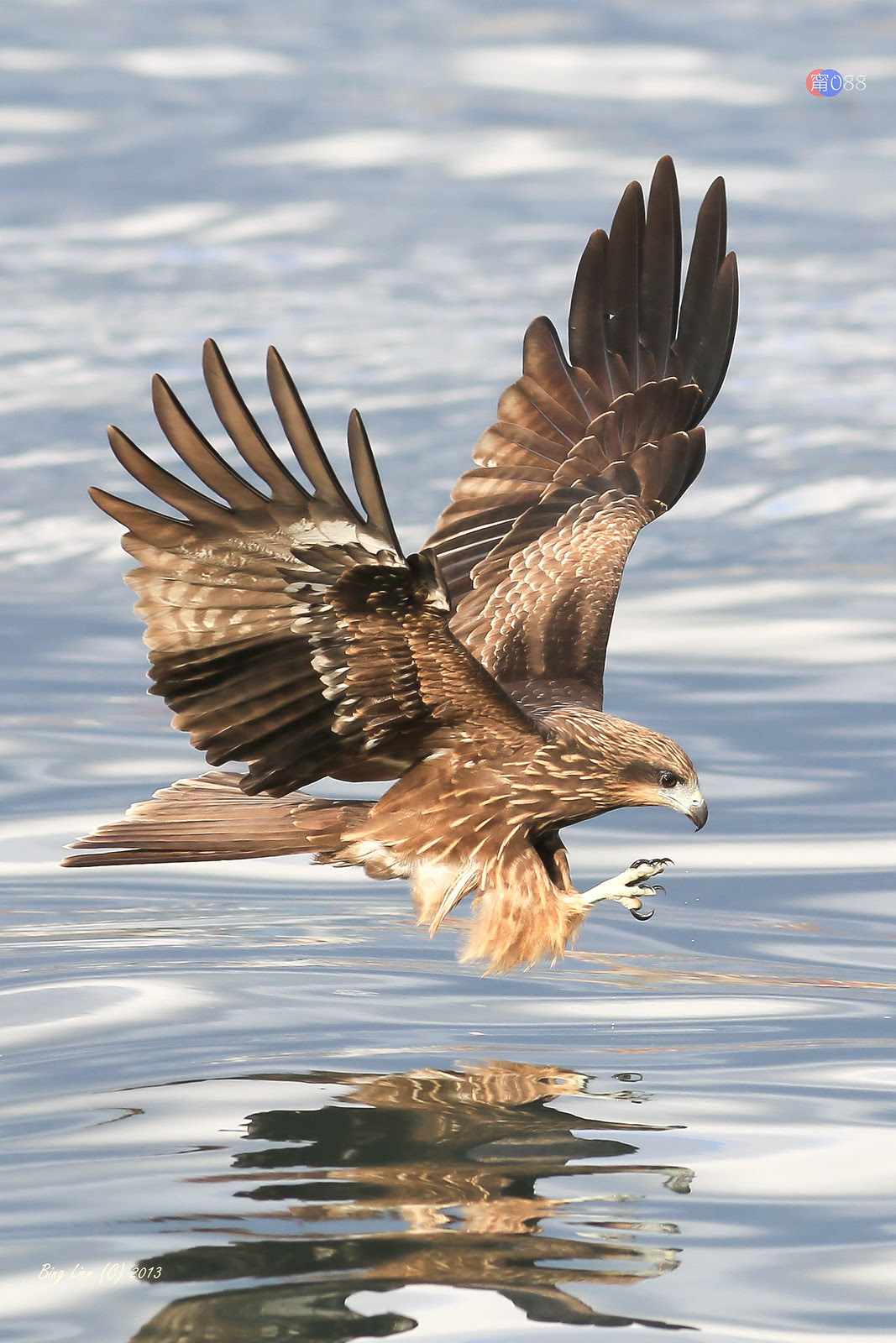 WATER_BING6832_LR