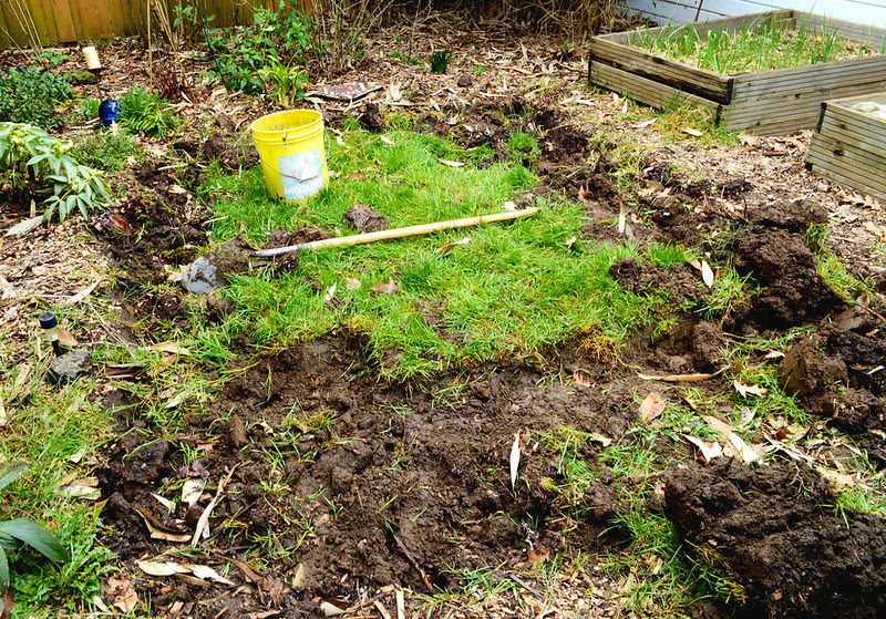 Digging up grass patch