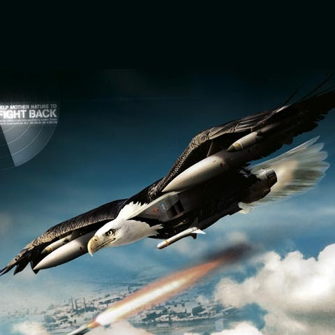 eagle-fighting eagle-fighting