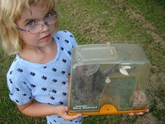 Isabelle and her crickets