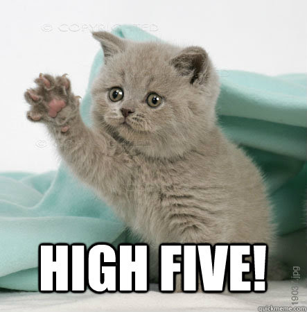 High five! - High Five Cat - quickmeme