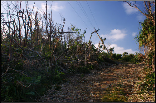 DSC04473