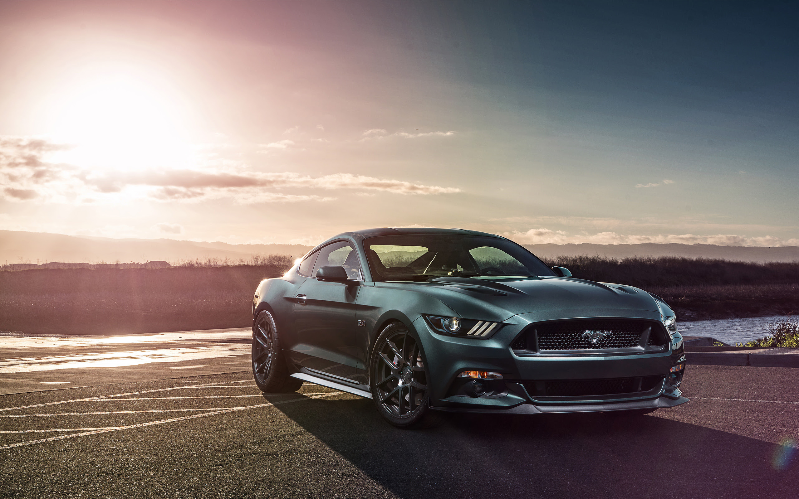 Download Wallpaper Hd Mustang Wallpaper Animasi