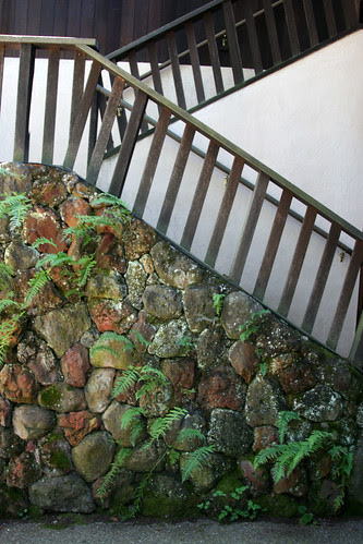 fern stairway