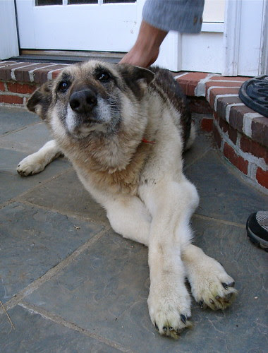 DSC00035