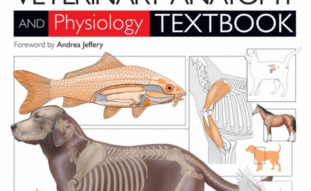 Introduction To Veterinary Anatomy And Physiology