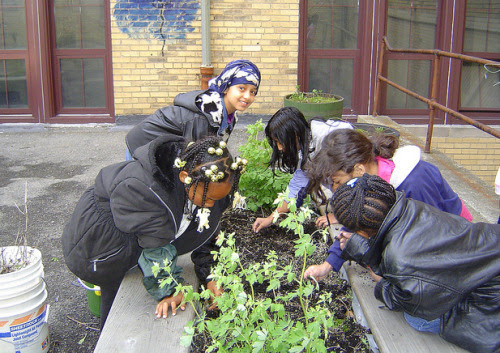 http://foodtank.com/news/2015/05/from-blight-to-beauty-10-urban-agriculture-projects-in-detroitFrom Blight to Beauty: 10 Urban Agriculture Projects in DetroitDetroit, once one of the most prosperous cities in the United States, has seen its population dwindle in recent decades as crime rates skyrocket and many of its neighborhoods fall into urban decay. In 2013, the City of Detroit filed for bankruptcy, becoming the largest municipal bankruptcy case in U.S. history. Now, in an effort to reclaim their land and revitalize their city, Detroiters have turned to urban farming. Food Tank is highlighting 10 of the city’s top urban agriculture projects.
