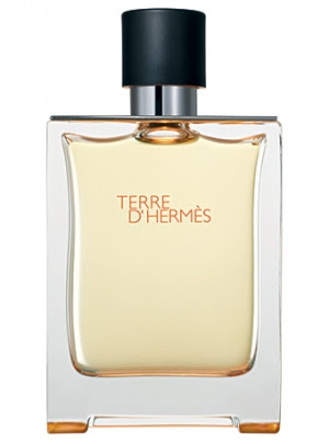 Terre d'Hermes Hermes Masculino