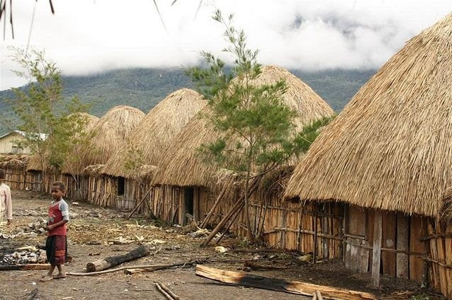 Type Of House Rumah Honai Type Of House Rumah Honai