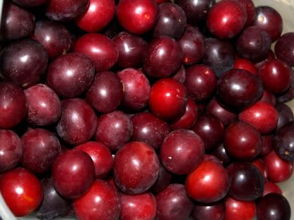 Plums