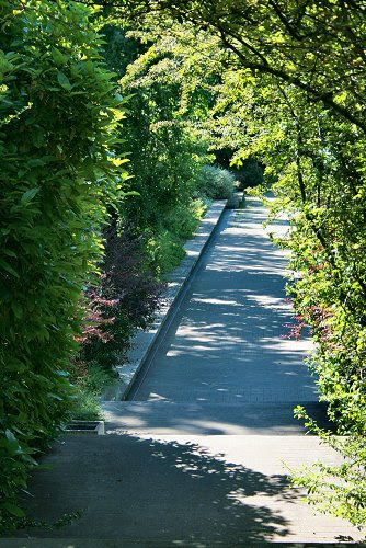 20100603-vs-9438