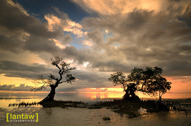 Siquijor Fire and Magic #7