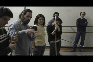 danza y plastica