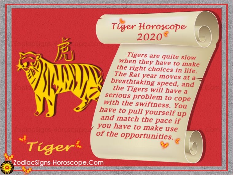 28 Chinese Astrology Tiger Compatibility - Astrology News