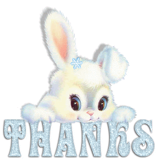 thank-you-desi-glitters-8
