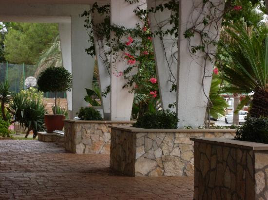 FotografÃas de Majorca Beach Hotel - Magalluf - Fotos de Apartamentos