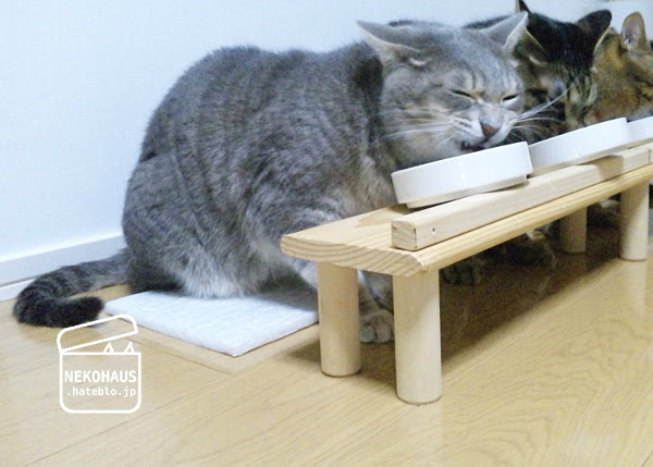 50 猫 食器台 手作り 100均 100 で最高の画像