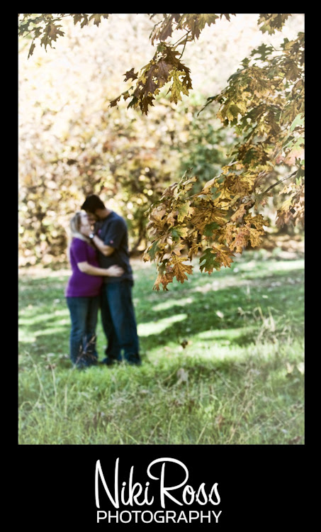 leaves-tree