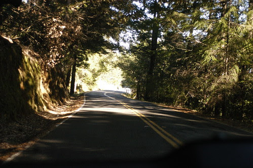 on the road, northern California
