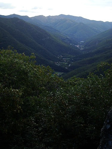 The valley of Valleraugue