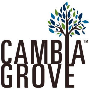 CambiaGrove_Brown
