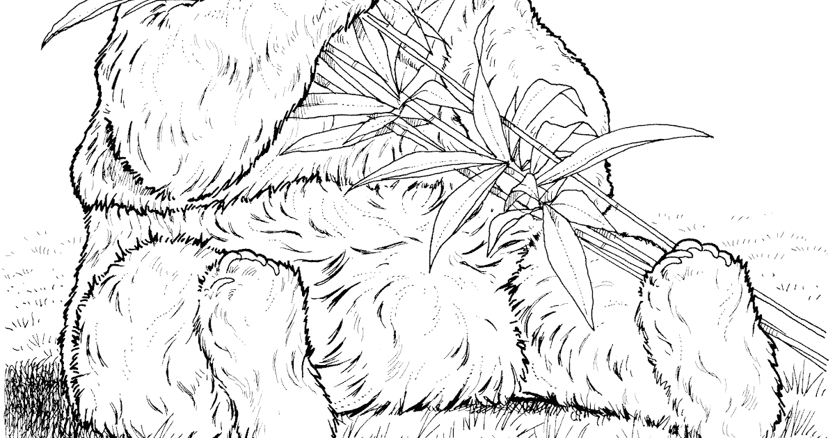 Realistic Baby Panda Panda Coloring Pages - Coloring and Drawing