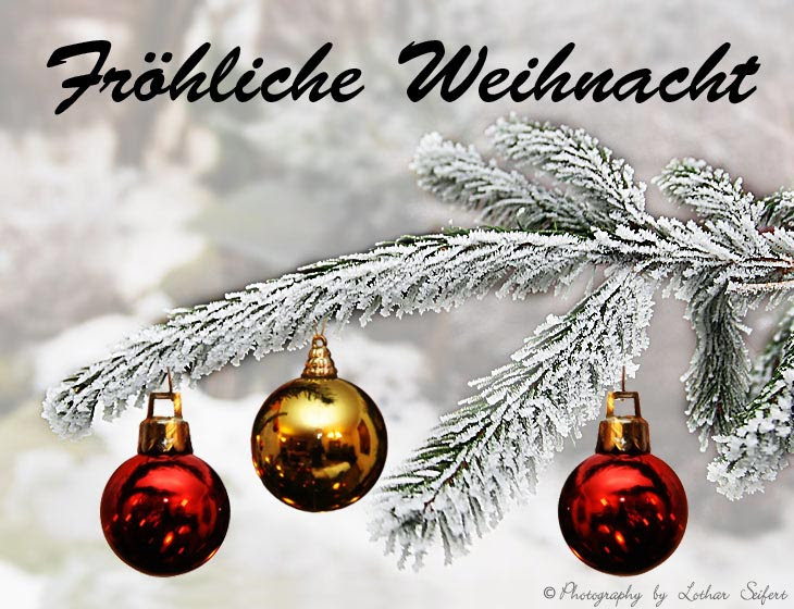 Weihnachts Bilder