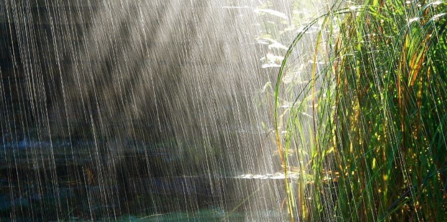 Puisi Tentang Hujan Dalam Bahasa Inggris - KT Puisi