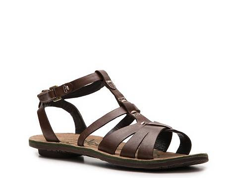 dsw gladiators