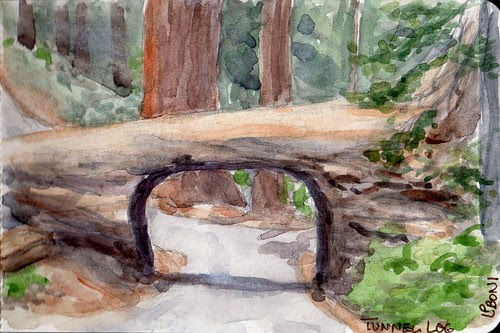 Tunnel Log LPBoni Aug09