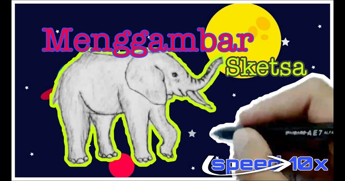 Cara Menggambar Sketsa Gajah - Gambar Mewarnai Gajah - Contoh Gambar