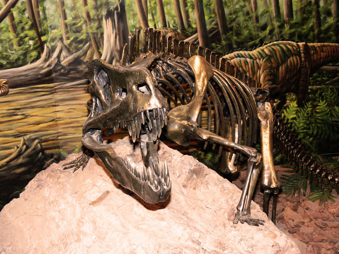 dinosauria museum