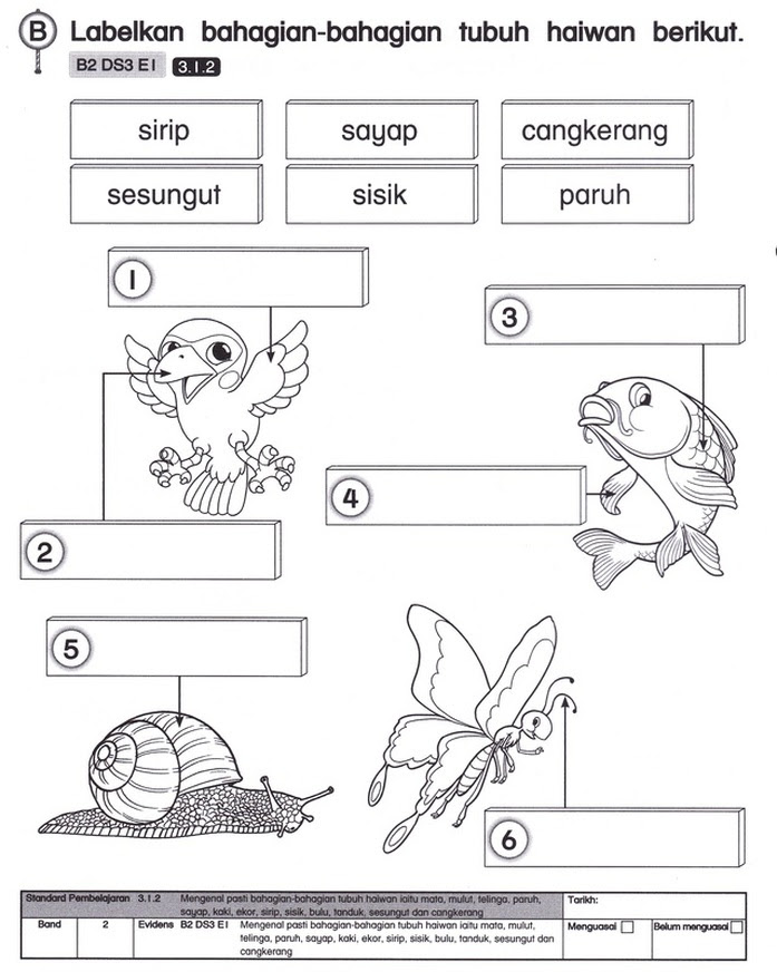 Ujian Sains Tahun 1  gostmarc