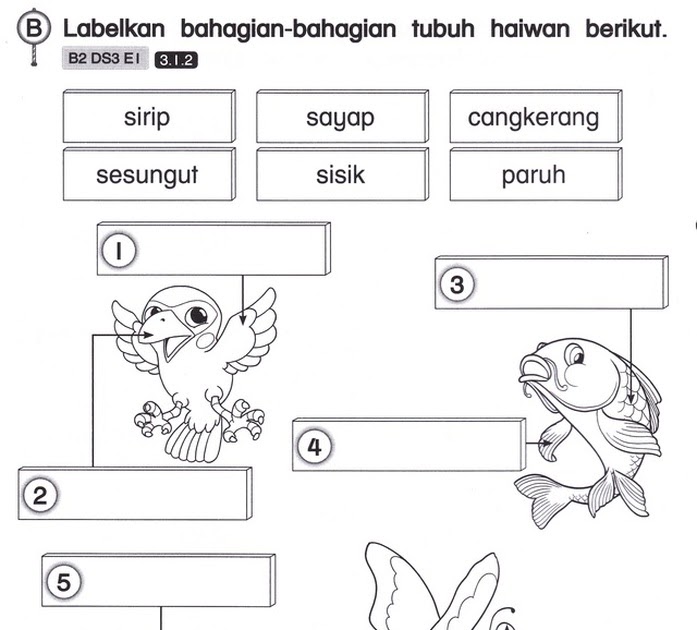 Ujian Sains Tahun 1  gostmarc
